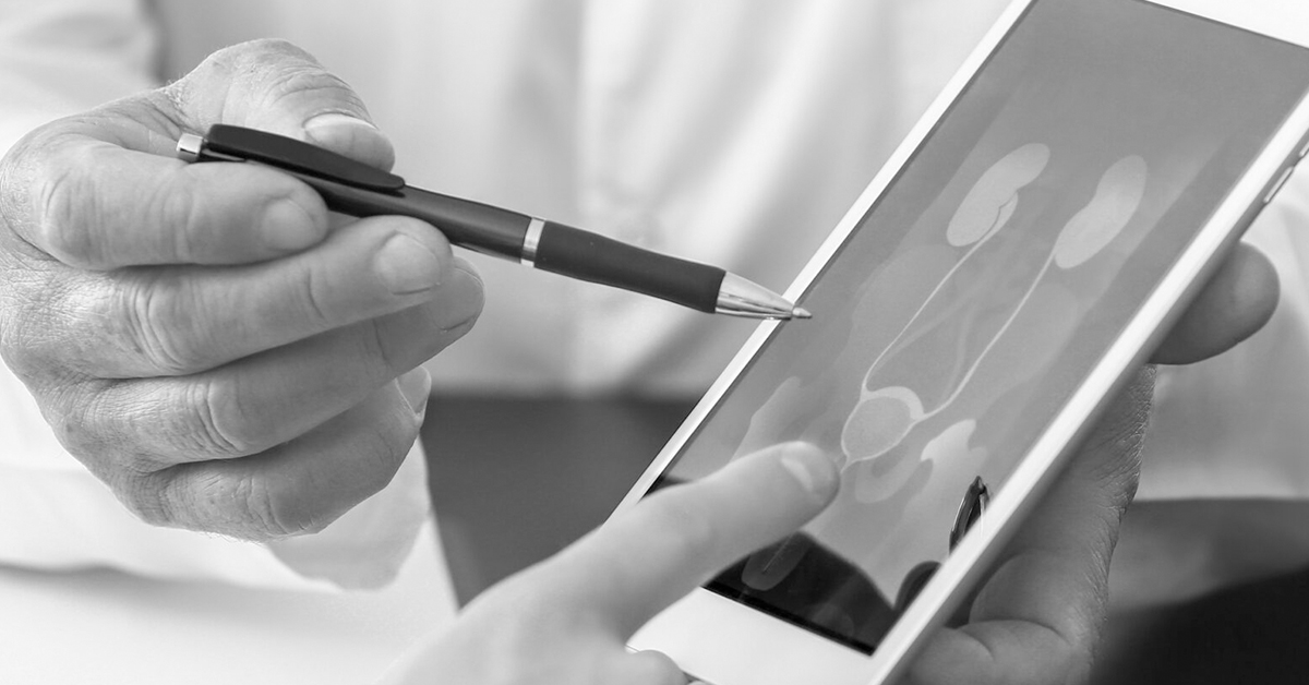 norstellaFeaturedImage norstellaFeaturedImage